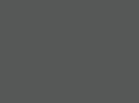 Grigio_Orione