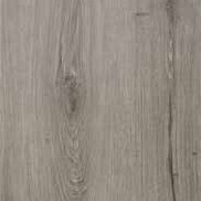Quercia Grigia